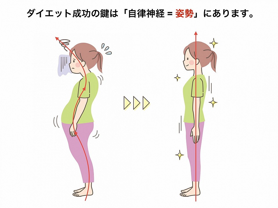 ダイエット成功の鍵は、体の姿勢を改善することにあります。特に首の姿勢を整えることで血行が改善され、自律神経の機能が高まります。その結果、食欲が適切に調整され、体脂肪の燃焼効率が向上する可能性が高くなります。