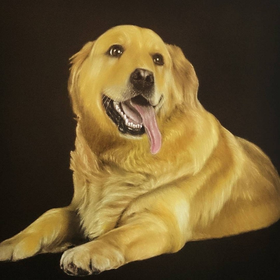 ペットだった犬「モモ」