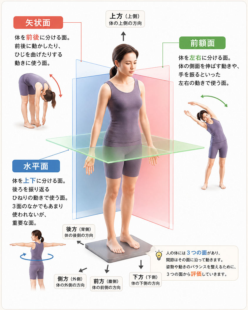 現代人は、前屈やスクワットなどの前後の動き（矢状面）に偏りがちで、横やひねりの動き（水平面）が不足しています。RE:SET®︎のバランスチェック検査では、3つの面すべてを使える身体づくりを行い、ケガをしにくく動きやすい身体を目指します。身体を動かすときは、「前後・左右・ひねり」の3面を意識してみましょう。