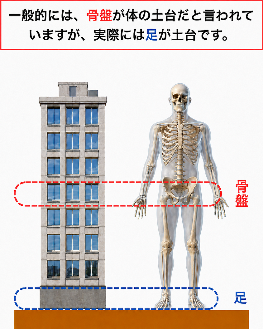身体をビルにたとえると、足元は全身を支える土台です。