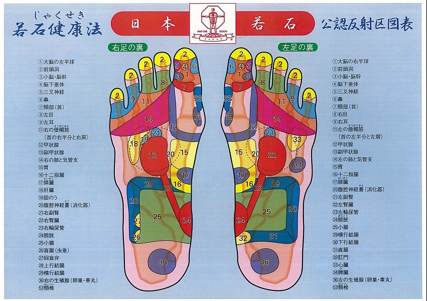 若石健康法の反射区①