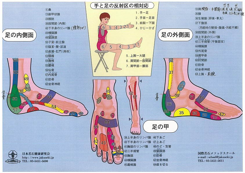 若石健康法の反射区②