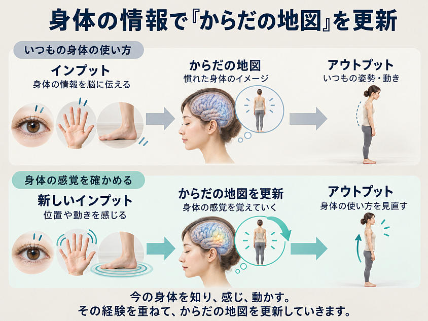 からだの地図を更新