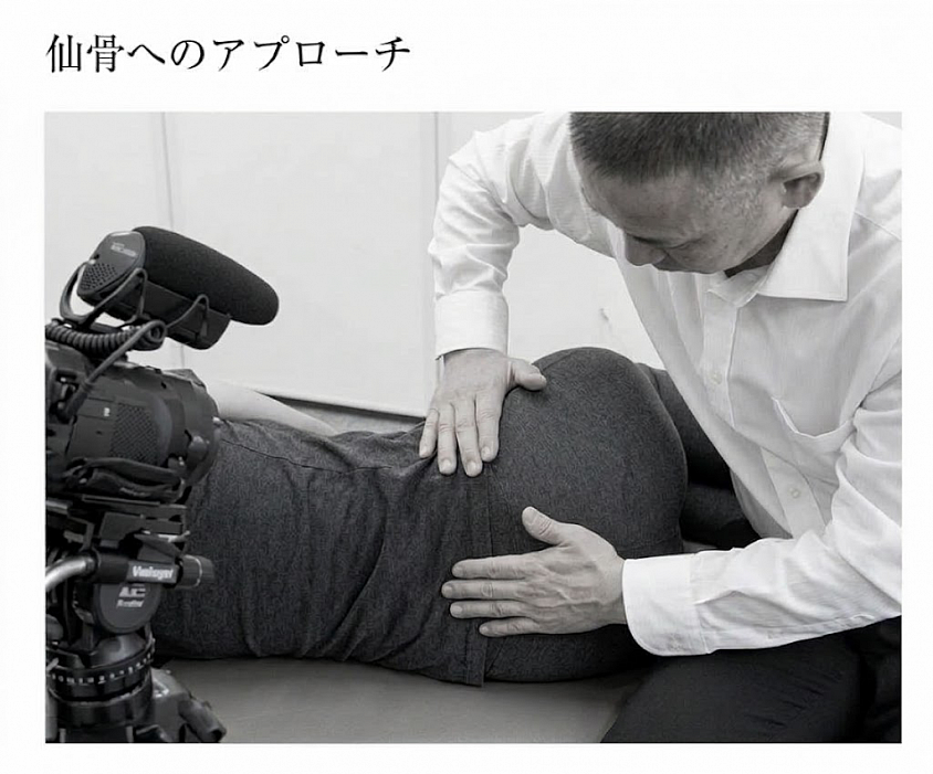 仙骨矯正