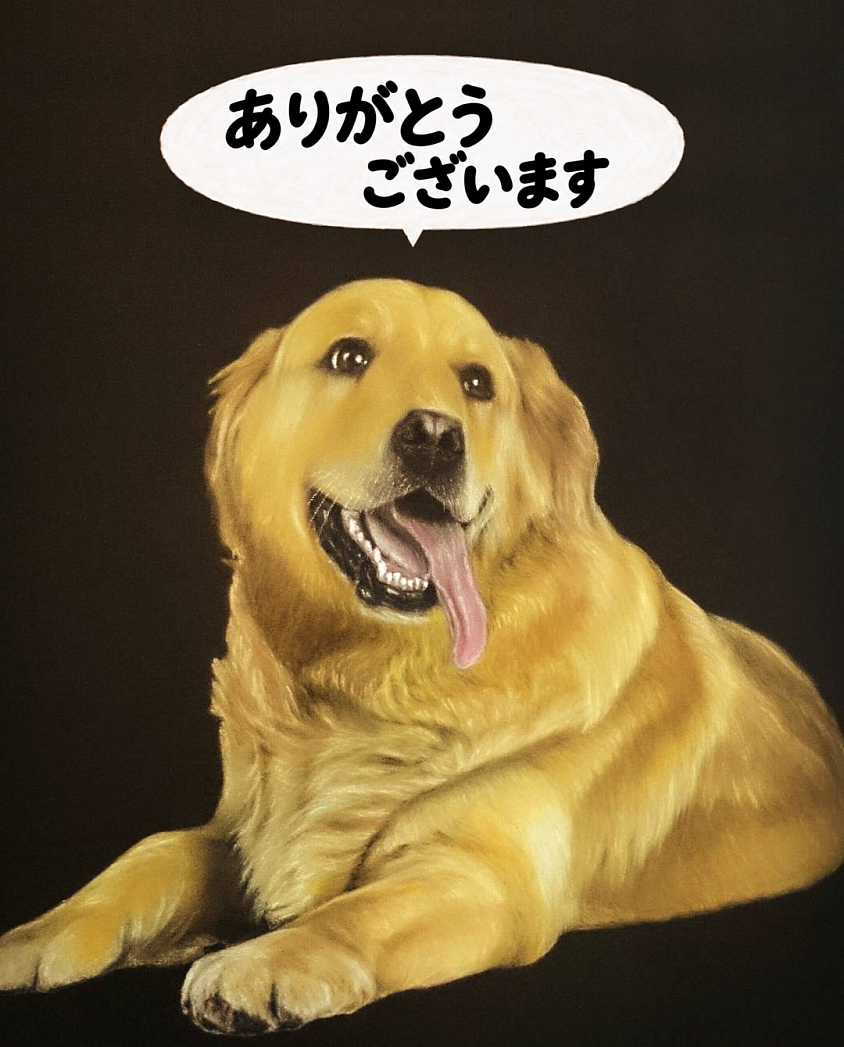 ペットのモモちゃんです🦮